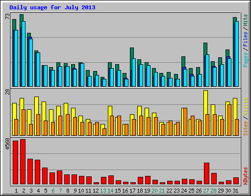 Daily usage for July 2013