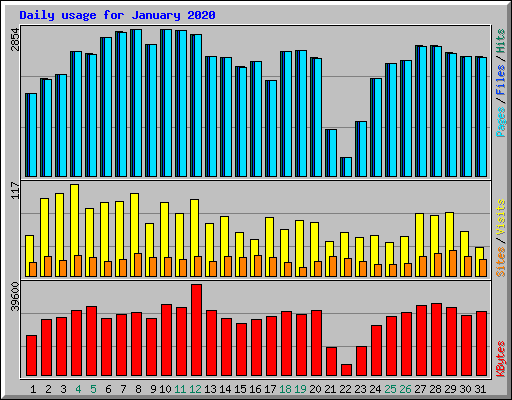 Daily usage for January 2020