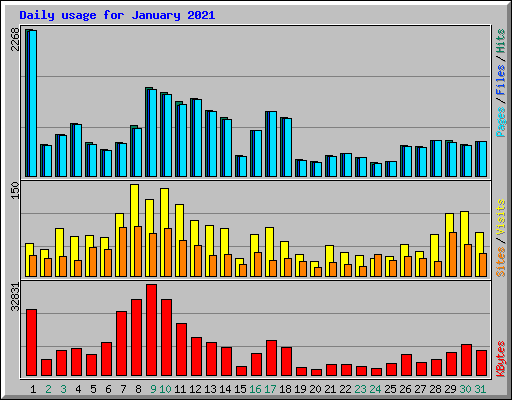 Daily usage for January 2021