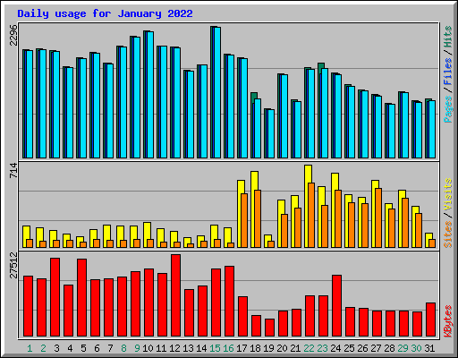 Daily usage for January 2022