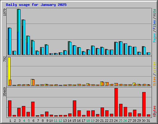Daily usage for January 2025