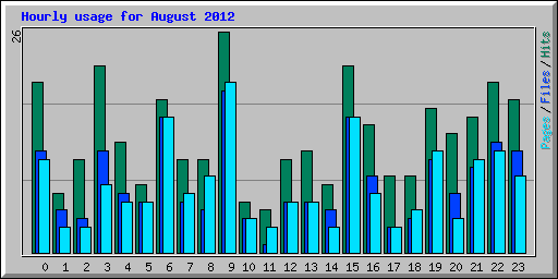 Hourly usage for August 2012