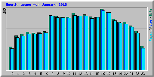 Hourly usage for January 2013