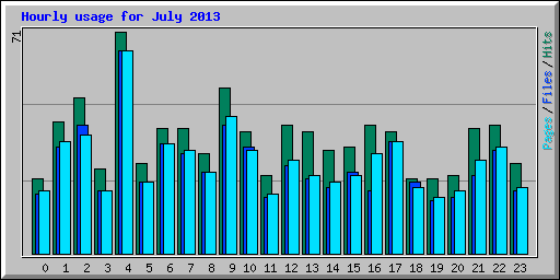 Hourly usage for July 2013