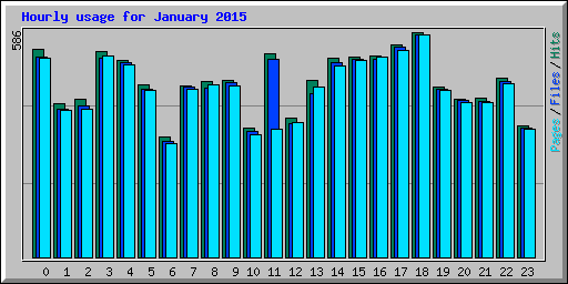 Hourly usage for January 2015
