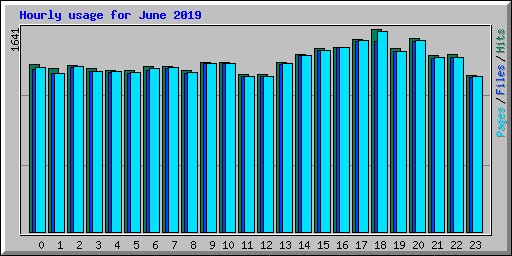 Hourly usage for June 2019