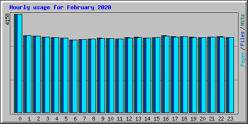 Hourly usage for February 2020