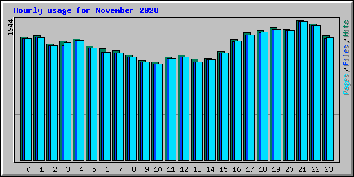 Hourly usage for November 2020