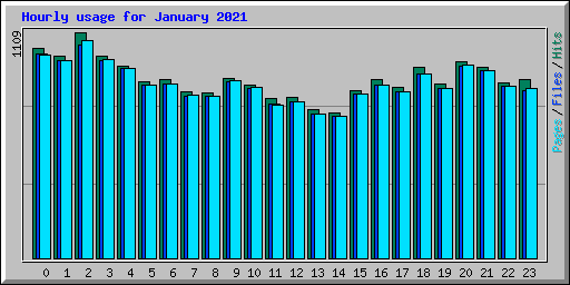 Hourly usage for January 2021