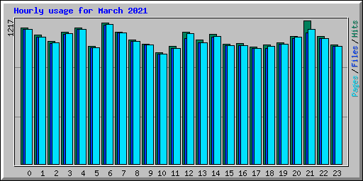 Hourly usage for March 2021