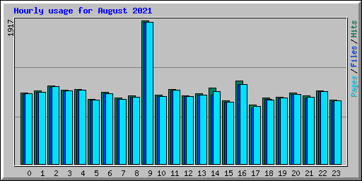 Hourly usage for August 2021