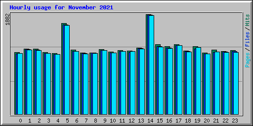 Hourly usage for November 2021
