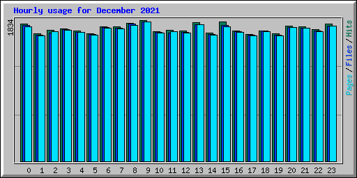 Hourly usage for December 2021