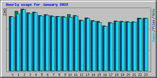 Hourly usage for January 2022
