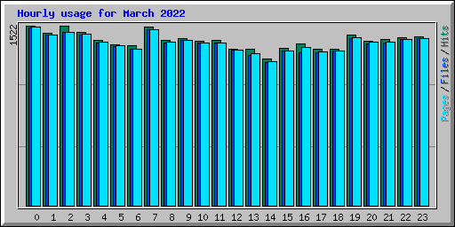 Hourly usage for March 2022
