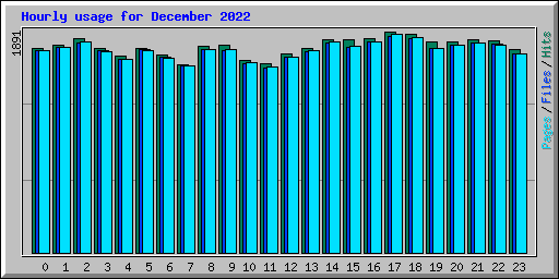 Hourly usage for December 2022