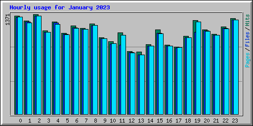 Hourly usage for January 2023