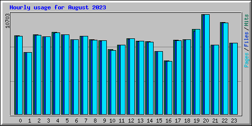 Hourly usage for August 2023