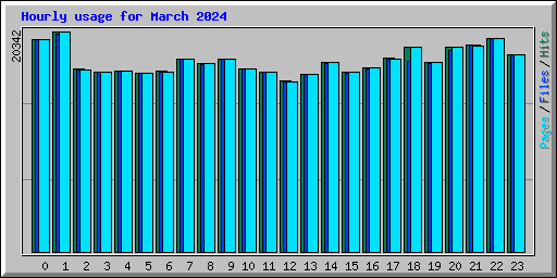 Hourly usage for March 2024