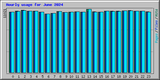 Hourly usage for June 2024