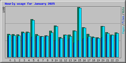 Hourly usage for January 2025