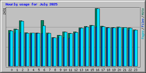 Hourly usage for July 2025