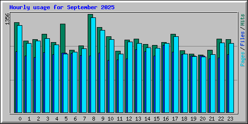 Hourly usage for September 2025